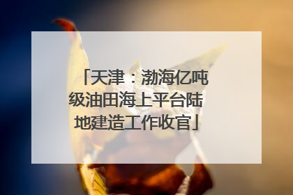 天津：渤海亿吨级油田海上平台陆地建造工作收官